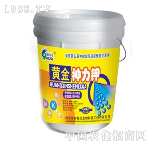 ��ԣ����-�S�������