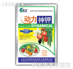 ��ԣ����-��(d��ng)�����