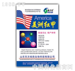 ��ԣ����-���޼t��