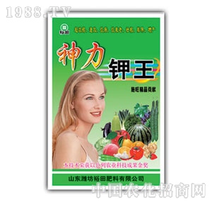 ��ԣ����-�������