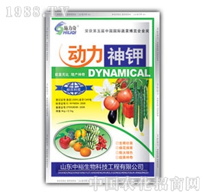 ��ԣ����-�������