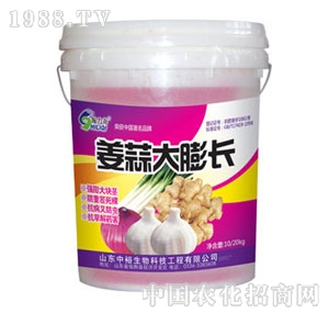 ��ԣ����-��������L