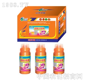 ��ԣ����-��(x��)��������