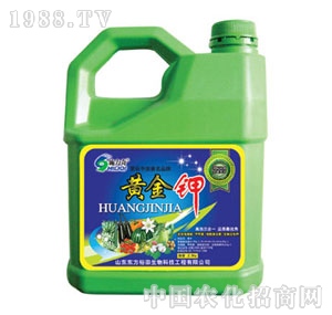 ��ԣ����-�S���