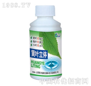 ��ԣ����-�S�~��ͣ