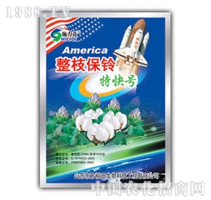 ��ԣ����-��֦����ؿ�̖(h��o)