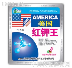 ��ԣ����-�����t���