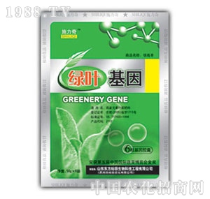 ��ԣ����-�G�~����