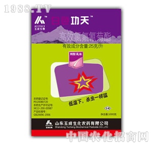 ��ɫ����