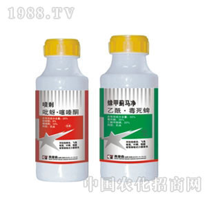 �W��ɭ-����