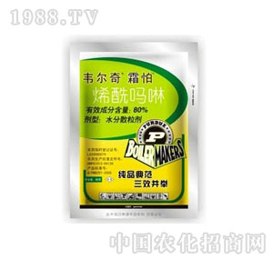 ����-˪��