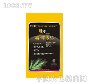 �~��˹-�Č�����