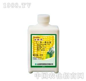 �ٰ�GҰ-42%���r˼���鄩