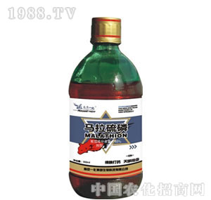 �Ͼ�һ��-�R������