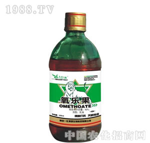 �Ͼ�һ��-������