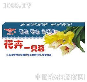 ���v����-����һҊϲ