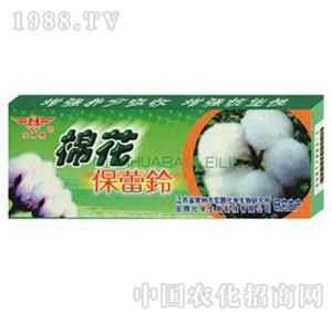 ���v����-�޻�����