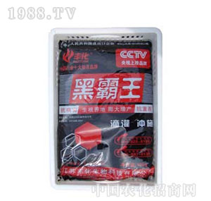 �S��-�ڰ����ЙC(j��)���