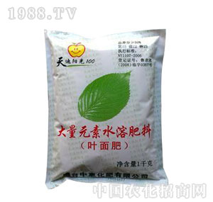 �л�-���䌣���~���