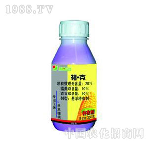 �A�-20%�������׷N��