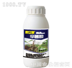 ������-�z��ͣ