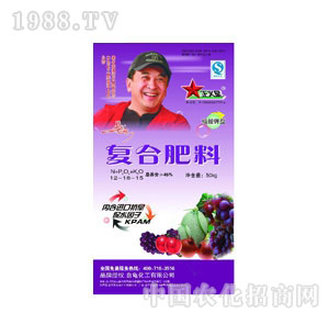 ��������-������͏�(f��)�Ϸ�