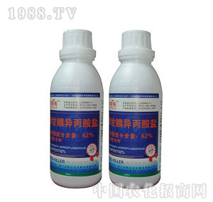 ��������-62%�ݸ�좮������}