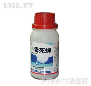 ��������-������