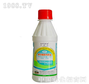 �Z����-�ݸ�좮������}