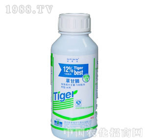 �Z����-���݄�