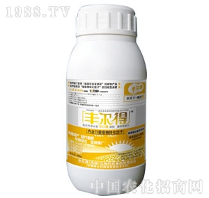 �S����-�S����300g