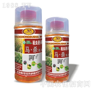 ���G�̌�-���x�ٚ�