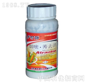 �����r(n��ng)��-���׌�(zhu��n)�ó��݄�