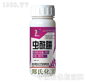 ���ϻ���-20%�x���Ҹ���