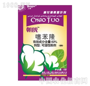 �ϸ�-50%�籽¡�ɝ��Էۄ�