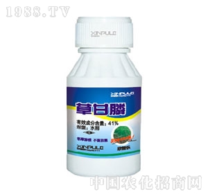 ���՘�(l��)-�ݸ��