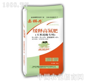 ����-��ጸߵ���