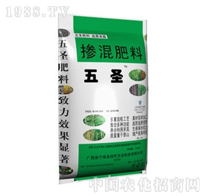 �������-��ʥ�����