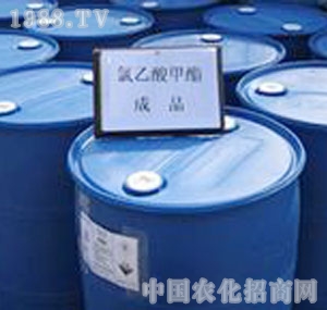 �m����-���������