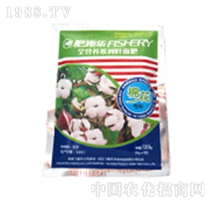 �wϲ��-�޻�������