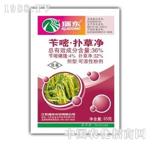 ���S����-�S�ד�݃�Wp