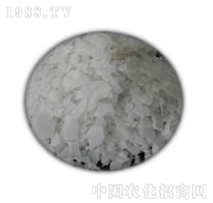 �к����W(xu��)-Ƭ�A