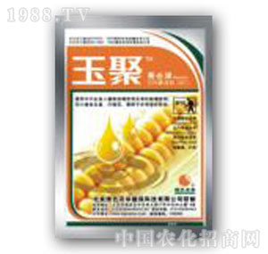 �Gɫ�r(n��ng)�A-��ۡ�����՚�