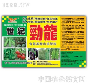 ��ԣ-���o(j��)�����_ʩ��