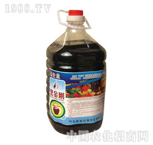 ����-�ڽ���