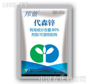 ����-���{(l��n)