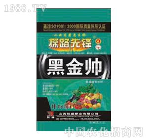 ̽·���h-�ڽ����������ЙC��