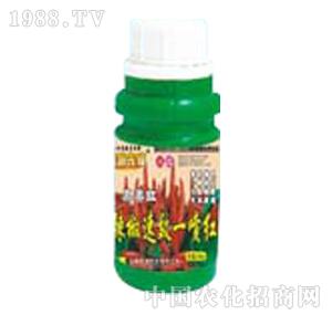 ̽·���h-����һ���t