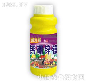 ̽·���h-�}���\�V