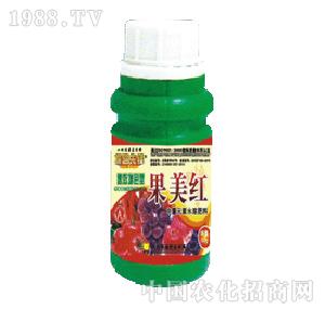 ̽·���h-�����t���������O�������t����